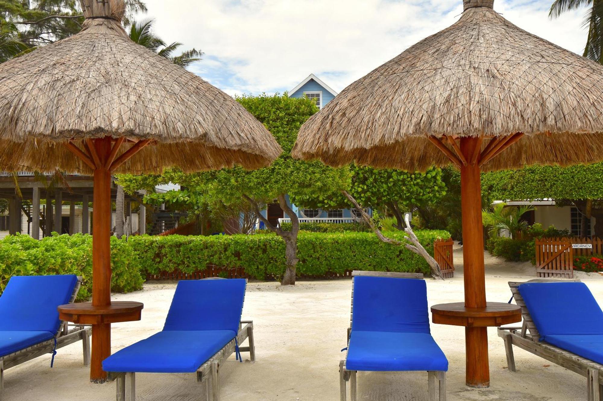 Palmetto Garden Cottage Caye Caulker Exteriör bild