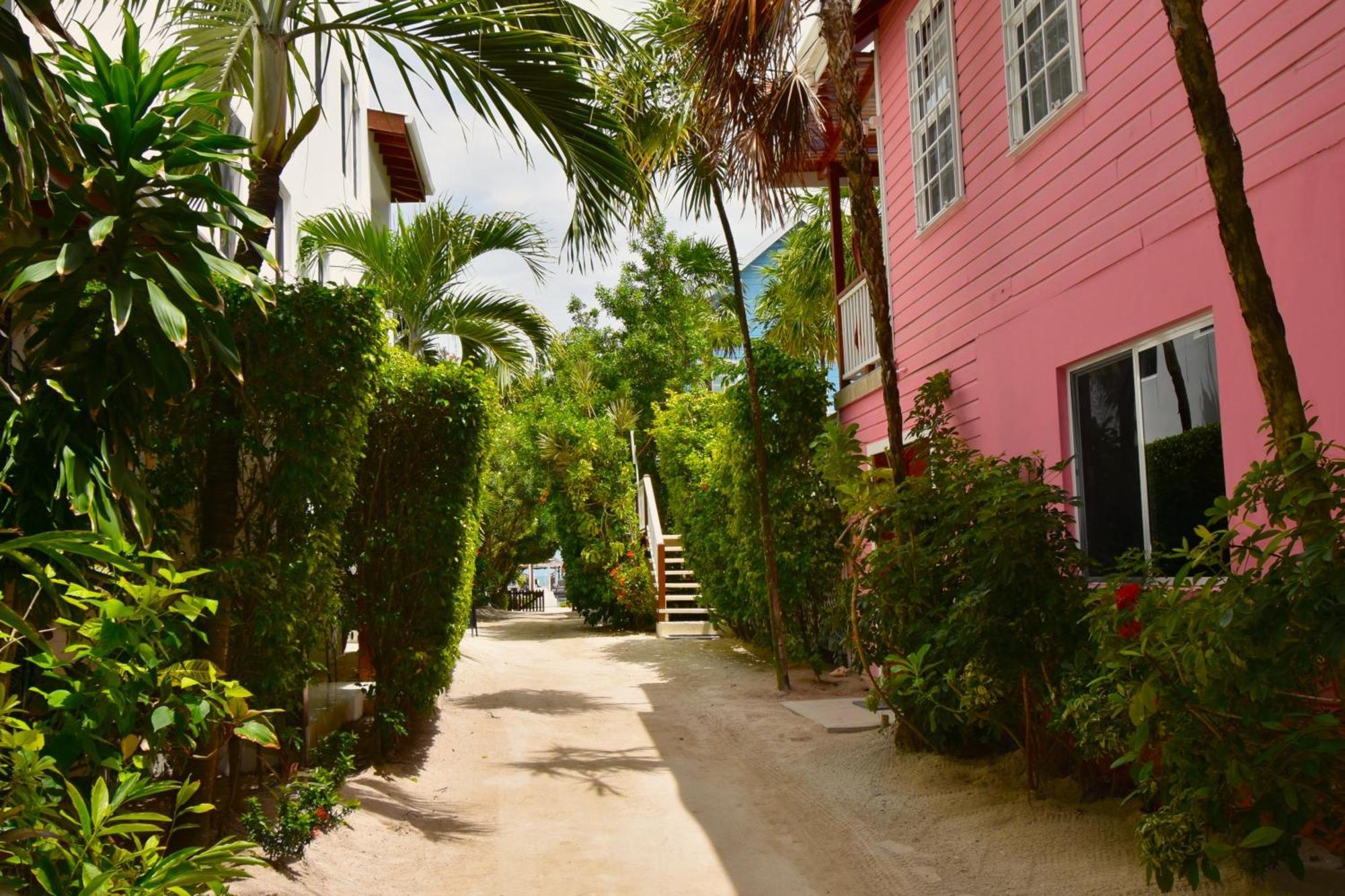 Palmetto Garden Cottage Caye Caulker Exteriör bild